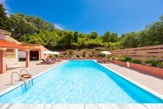 Villa Psaropouli - Dragotiná - 4