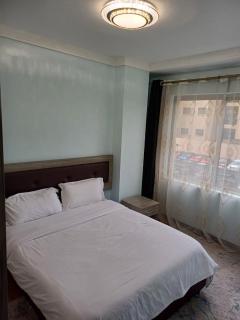 Blonch's Airbnbs - Nairobi - 4
