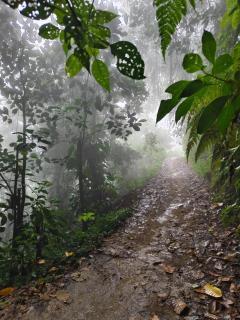 Eco hotel la Esmeralda Cienaga - 4