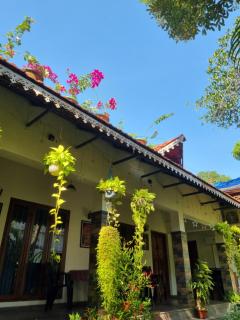 Marari Sophy Villa - Mararikulam - 3