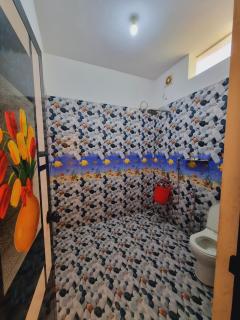 Marari Sophy Villa - Mararikulam - 1