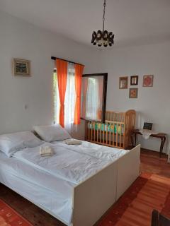 Dragačevska kuća na bregu - 2