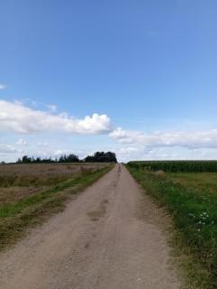 ŁĄKA NA WYŁĄCZNOŚĆ NA PODLASKIEJ WSI HAJNÓWKA BIAŁOWIEŻA namiot, biwak, kemping - 9