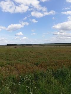 ŁĄKA NA WYŁĄCZNOŚĆ NA PODLASKIEJ WSI HAJNÓWKA BIAŁOWIEŻA namiot, biwak, kemping - - 6