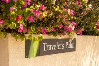ROYAL PALM SUITE at Travelers Palm Inn Key West - 7