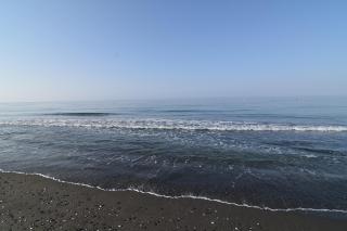 Fantastic studio - beachfront - 3