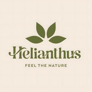 Helianthus - Cisternino - 0