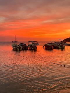 Ocean Lovers Taganga - PADI Dive Center & Hostel - 3