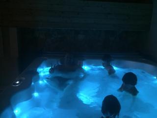 Wellness Hotel TREZOR - 1