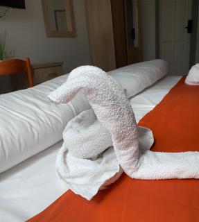 Wellness Hotel TREZOR - Pécs - 9