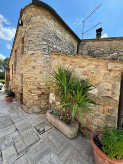 Torre di Viepri - 7