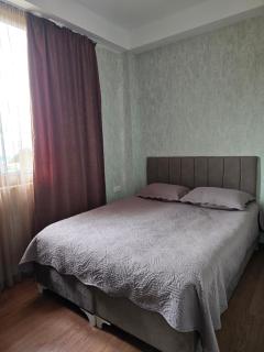 Apartment in bakuriani 36 - 6