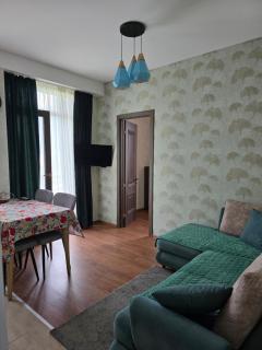 Apartment in bakuriani 36 - Bakuriani - 8
