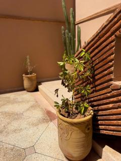 Elegant Apartment in Villa - Marrakech - 9