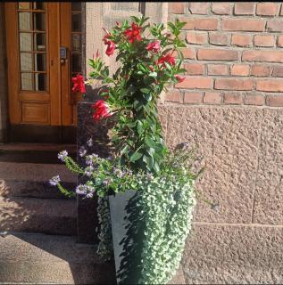 #CALONIUS Classy apartment Helsinki center - 8