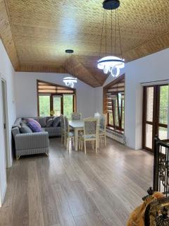 Shabran Villa Pirabadil - Pirǝbǝdil - 4