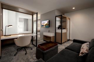SpringHill Suites by Marriott Houston Brookhollow - Houston - 2