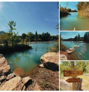 Casas Natura Suites - Finca Rural - 8