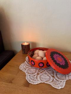 Unique Dutch Retro House "Stará Láska" - Natural Slovakia - 2