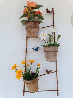 Acuario Benalmádena - 1