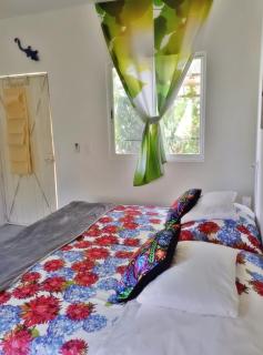 GREEN PARADISE LEONA VICARIO - 9