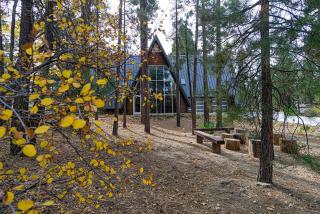 Glass Peak #350 - Big Bear Lake - 8