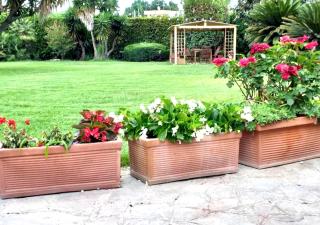 Royal Penthouse - Fiumicino Airport - Three-Bedroom Suite - 4