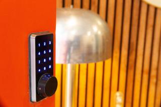 MCM Garden Apartment & Urban Oasis - 7