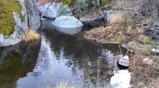 Shady Creekside Cabin - Miramonte - 9