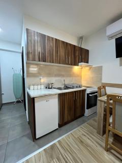 Apartman Veličković Sokobanja - 3