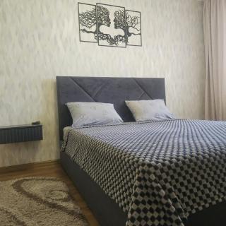 Апартаменты ХТЗ, Масельского, Индустриального - Kharkiv - 0