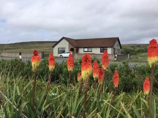 lovely comfortable spacious 4 bedroomed house - 0