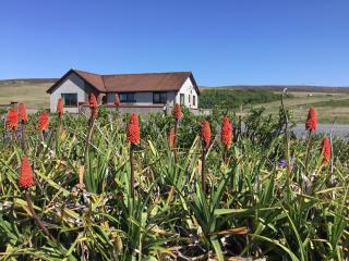 lovely comfortable spacious 4 bedroomed house - Brae - 4