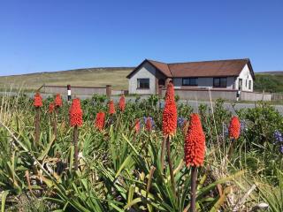 lovely comfortable spacious 4 bedroomed house - Brae - 2