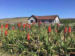 lovely comfortable spacious 4 bedroomed house - 1