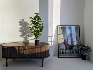 Royal Gardens Panorama Apartment by Cooee - 5
