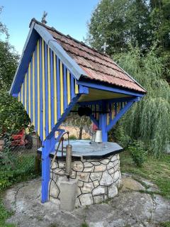 La Umbra Munților Tradițional house wich hot tub Apuseni - 1