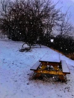 Little Turkey Ranch - - 3