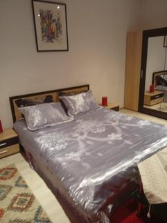 Apartament la casa Gina, Iulius Mall - 9