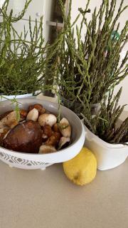 Villa Marina B&B - Cleto - 9