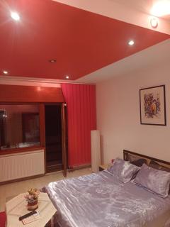 Apartament la casa Gina, Iulius Mall - 7