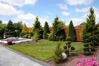 Pension Cecilia - 9