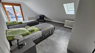WiLDBED DE - 8