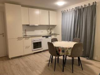 3 for Three Entire Apartment - Ytri-Njarðvík - 0