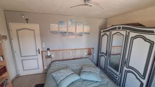 l'écureuil roux - 8