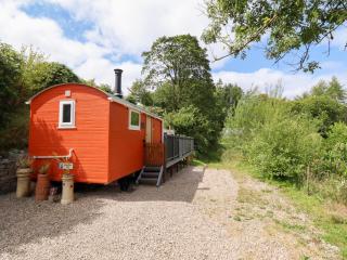 Red Kite at Wild Valley Huts - 0