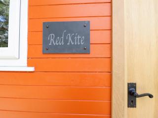 Red Kite at Wild Valley Huts - Oswestry - 9