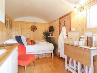 Red Kite at Wild Valley Huts - Oswestry - 8