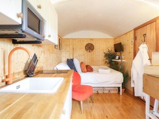 Red Kite at Wild Valley Huts - Oswestry - 7