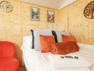 Red Kite at Wild Valley Huts - Oswestry - 1